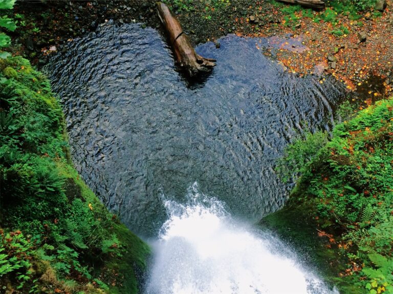 Flood and Firewater